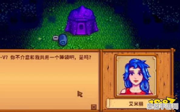星露谷物语攻略：艾米丽喜好，速升好感度秘籍！