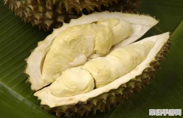 榴莲视频污：畅享最新热门影视资源，尽情体验视听盛宴与精彩内容！