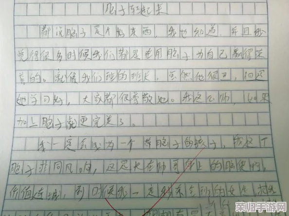 班长成为全班的插座作文：展现领导力与团结精神的生动写照