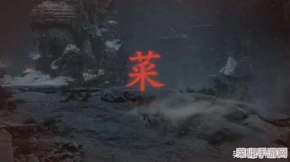 《只狼》游戏中文设置全攻略，轻松玩转无压力！