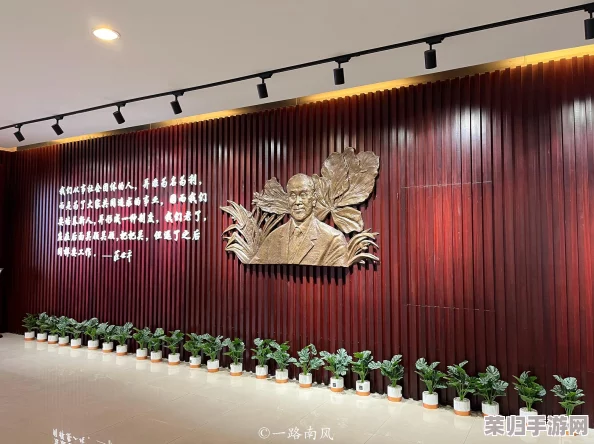 在宿舍想扣怎么办？实用方法分享及注意事项