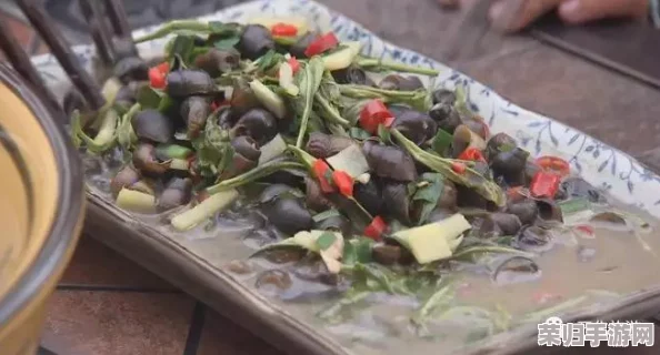 四川少妇BBBB好日，带你领略乡村生活的独特魅力与美食之旅