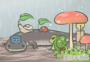 探索高效乌龟服萨满宏，优化游戏体验的秘诀！