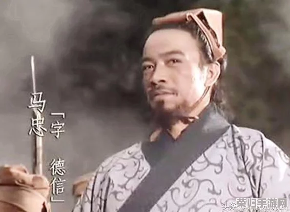 “sp诸葛亮关兴张苞”深度解析：网友热议这三位英雄如何在战场上展现智慧与勇气的完美结合