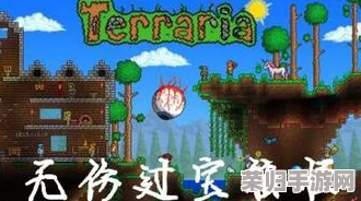 泰拉瑞亚：腐化宝箱怪神秘掉落，稀有战利品一网打尽！