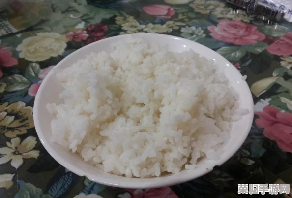 《怪物猎人：世界》顶尖猫饭秘籍，解锁最佳食材搭配策略！