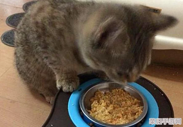 《怪物猎人:世界》顶尖猫饭秘籍,解锁最佳食材搭配策略! 《怪物猎人:世界》顶尖猫饭秘籍,解锁最佳食材搭配策略!