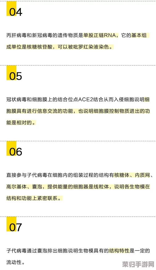 EEUSS中文：热门词汇大揭秘，你知道吗？