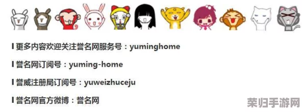 “yp换哪个域网名了？听听用户对新域名的评价与见解分享！”