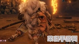 《只狼》三年前义父登场之谜：触发条件全攻略！