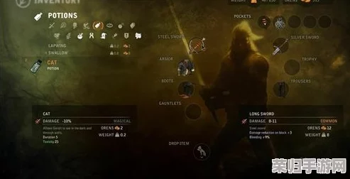 《巫师2》深度流程指南：第二章精灵路线全解析，最新翻译版震撼发布！