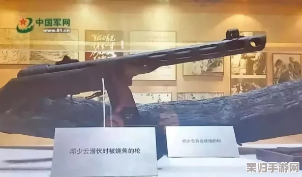 儿挺钢枪一起来今天我十八岁生日，欢庆青春的同时也感受成长的责任与挑战