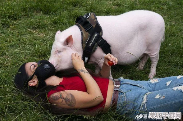 女人与公豬交交中：感受自然之美与人性深度的奇妙碰撞