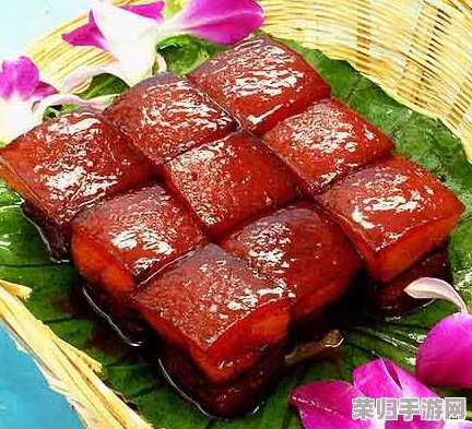 国外黄冈网站：用户评价与见解汇总，探索最佳学习资源与平台优势