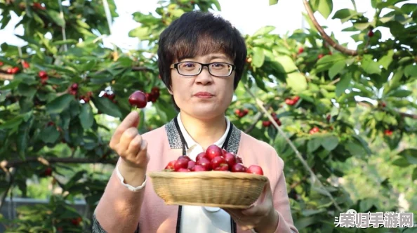 樱桃视频大全免费高清，精彩内容应有尽有，不容错过！