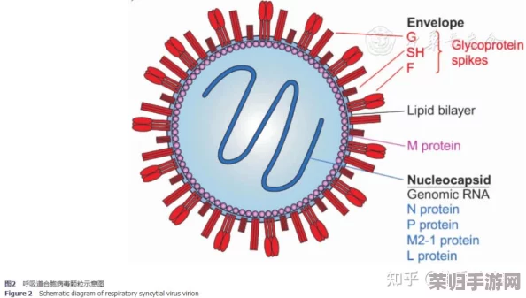 教授H1vl1升温:疫情、变异毒株、防护措施如何应对? 教授H1vl1升温:疫情、变异毒株、防护措施如何应对?