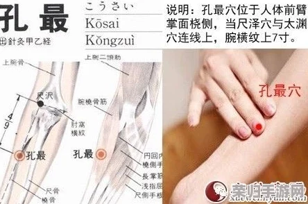 年经继拇是免费的吗交换七日？了解最新活动与优惠，畅享无忧体验！