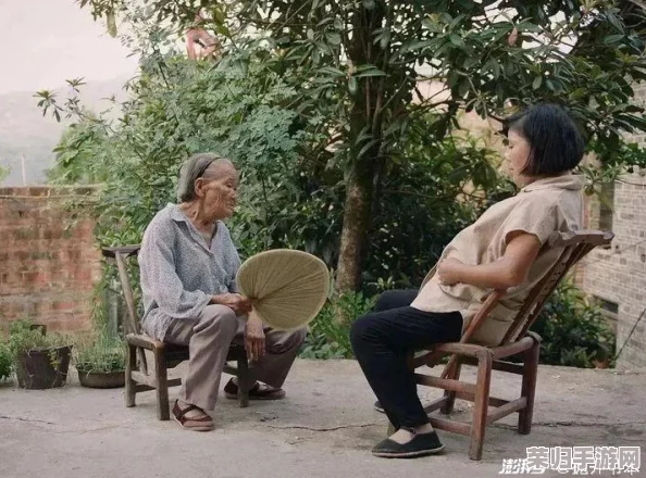 村医王叔和小丽的小说以什么为主：深刻描绘乡村生活与人性温暖的感人故事