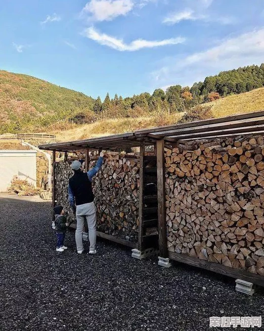 日本人上网用什么浏览器？最受欢迎的浏览器排名揭晓
