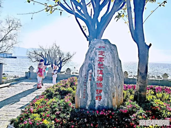 大地资源二在线观看免费高清，畅享精彩剧情与震撼特效的完美结合！