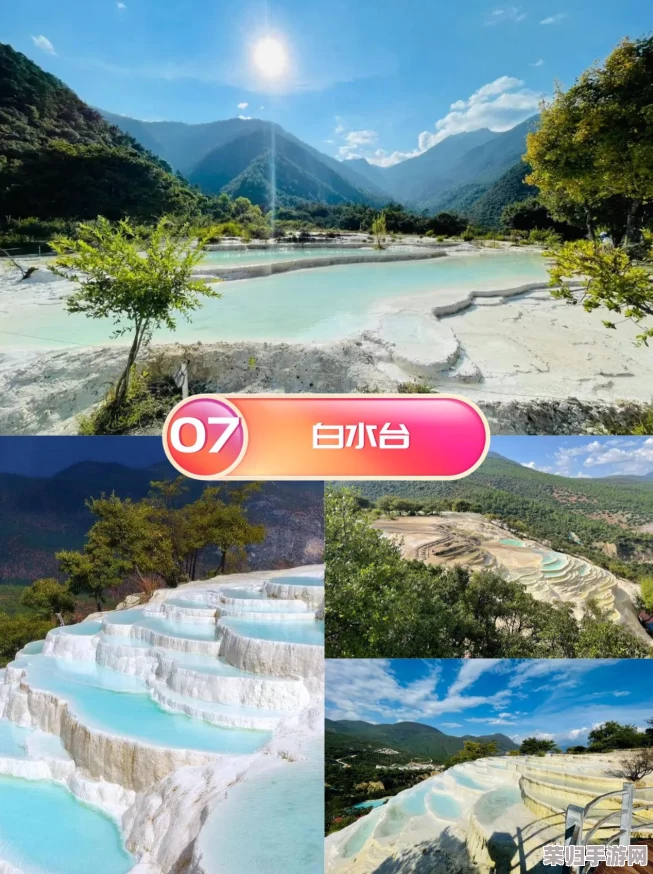 纳西达焯出白水，展现了其独特的烹饪技艺与食材的新鲜度，让人垂涎欲滴