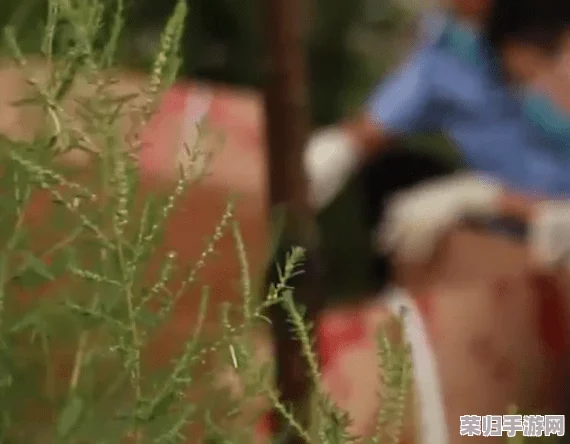 性处破与摘花过程videos:细腻呈现生物繁殖的奇妙瞬间,令人深思的自然之美 性处破与摘花过程videos:细腻呈现生物繁殖的奇妙瞬间,令人深思的自然之美