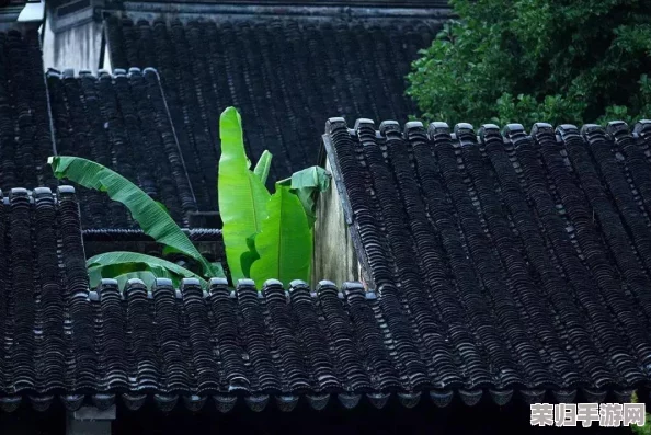 四季物语换卡：绝美画面，丰富玩法，打造属于你的梦幻世界
