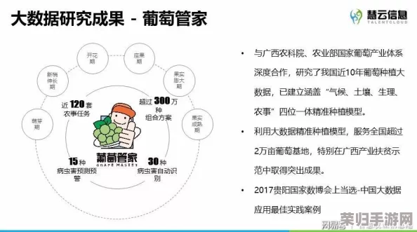 97精产国品一二三产区区别视频：深度解析中国农业发展与市场趋势