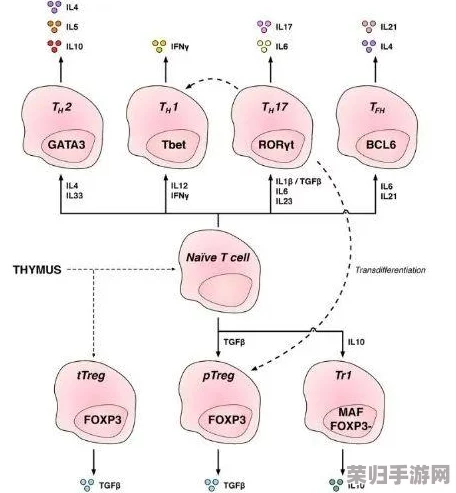 好深，探寻宇宙奥秘与人类未来的交汇点，带你领略科学与哲学的奇妙旅程