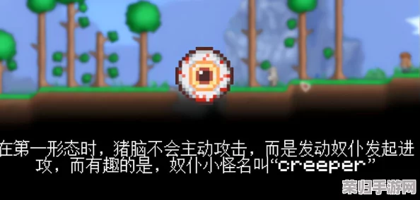 饥荒盒中泰拉的绝妙用法,让你的生存之旅更轻松! 饥荒盒中泰拉的绝妙用法,让你的生存之旅更轻松!