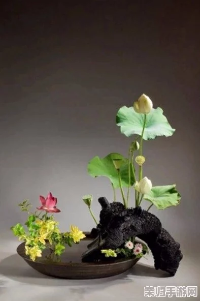成品的国色天香：一场视觉与味觉的双重盛宴，展现了传统工艺与现代审美的完美结合