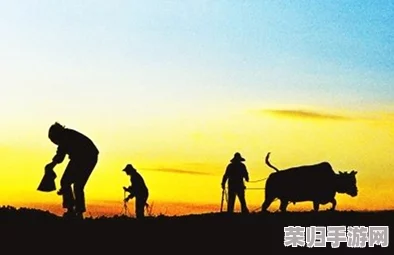 儿子耕种母亲的田地的寓意：传承责任与爱的象征，蕴含深厚家族情感与文化意义