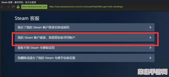 解决Steam账户名称填写难题：为何总是提示错误？