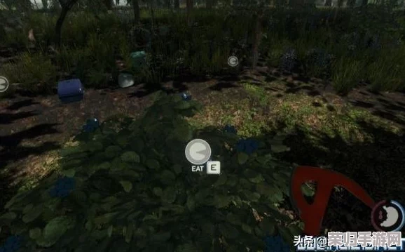 hkdoll森林秘境是什么？带你走进奇幻的梦幻世界与神秘生物的冒险旅程