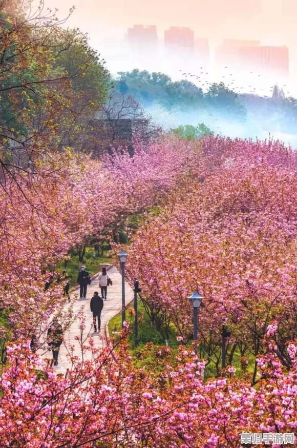 国色天香桃花朵朵开万事皆胜意，春暖花开时节共赏美景乐享生活