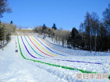 伊春园2023入口直达，畅游雪乡之美，感受冰雪奇缘的魅力