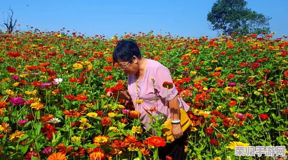 俄罗斯摘花:在绚丽的花海中感受自然之美与心灵的宁静,体验独特的文化魅力与风土人情 俄罗斯摘花:在绚丽的花海中感受自然之美与心灵的宁静,体验独特的文化魅力与风土人情