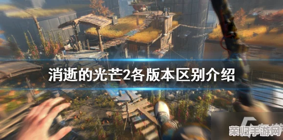 《消逝的光芒》征用包神秘获取地点，探索隐藏宝藏所在！