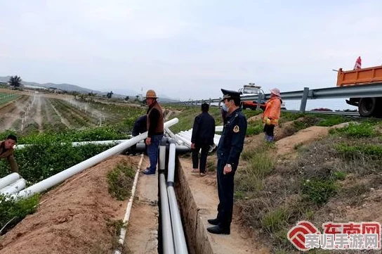 出差大暴雨在讨厌主管，如何应对职场压力与突发状况的挑战？