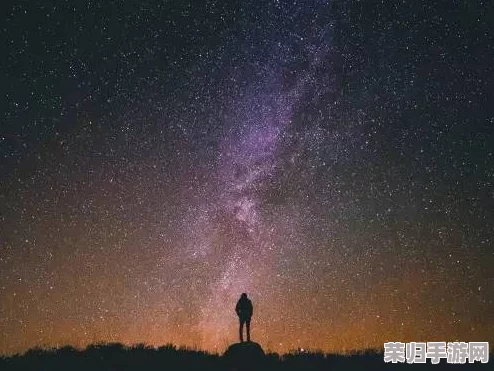 天美麻花星空九一：用户热评揭示其独特魅力与深厚文化底蕴融汇的完美体验