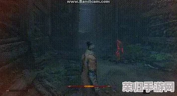 《只狼》双难模式：挑战升级，玩法差异全解析！