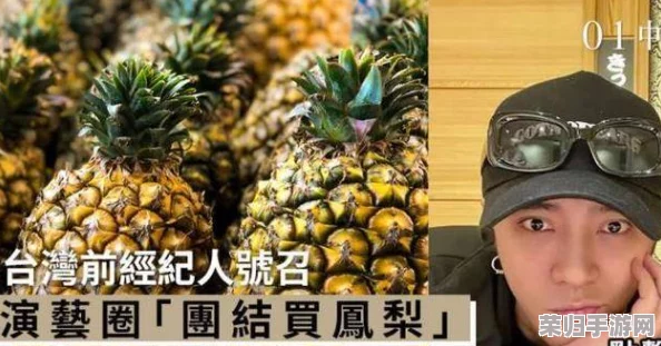 “大菠萝官方隐藏入口：网友热议神秘路径，探秘其背后的惊人秘密与独特体验”