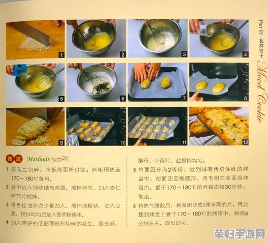 探秘美食之旅：从零开始学烹饪1——基础厨艺大公开！