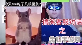 哑剧猫拔萝卜：搞笑视频、网红挑战、爆笑片段大盘点
