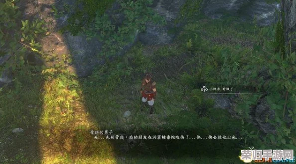 《河洛群侠传》深度图文攻略：解锁全主线支线剧情，集齐全武学秘籍与感悟心得！