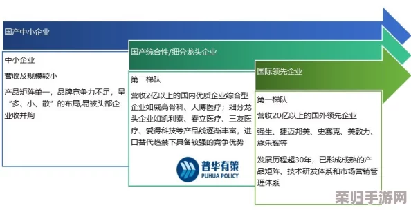 国精产品一区一区三区公司背景：发展历程、市场前景、竞争优势