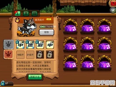 阿尔宙斯结草儿华丽蜕变：全面进化指南与技巧大公开！