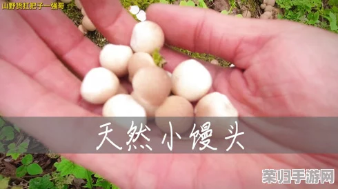 不小心看见六年级的小馒头，照片阳光明媚的午后，记录下童年的纯真与快乐时光
