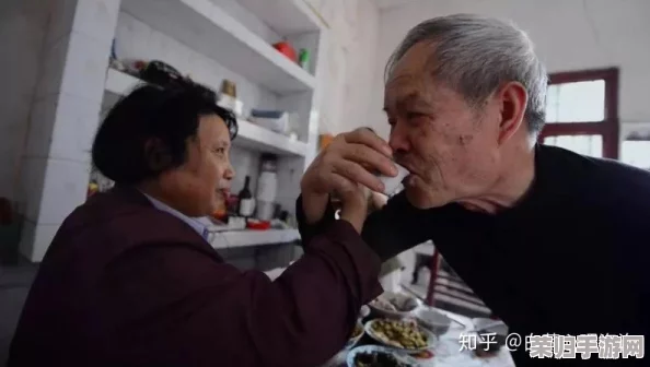 大陆老头与老太HD：感人故事背后的生活智慧与情感交织，带你领略不一样的岁月风采