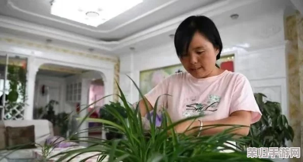 丹丹渐渐适应了新生活，迎来了蓬勃发展和快速增长。